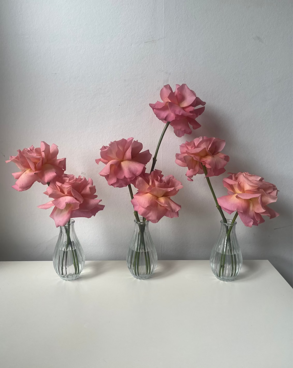 Rose bud vases (set of 3)