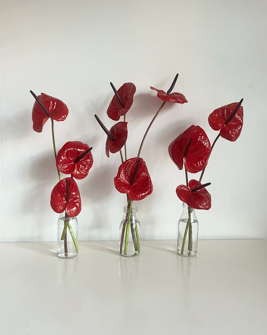Anthurium bud vases (set of 3)