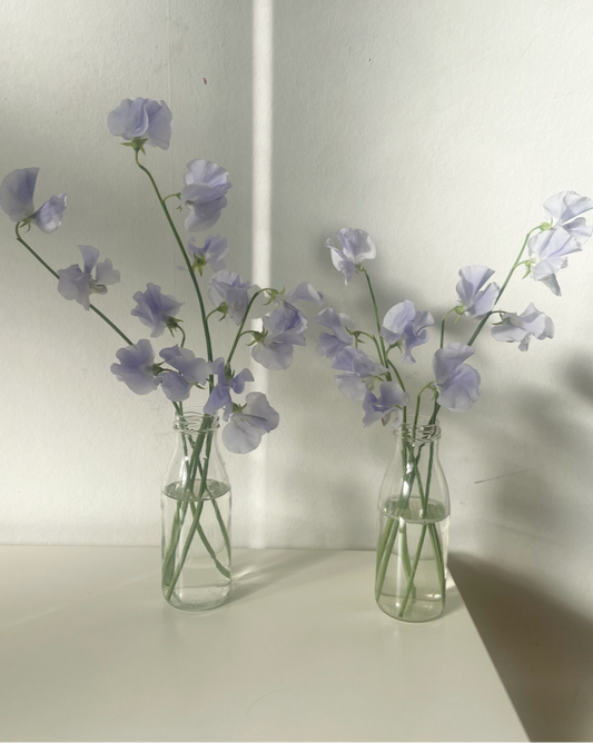 Sweet pea bud vases (set of 3)